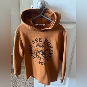 Light hoodie. H&M. Rust color